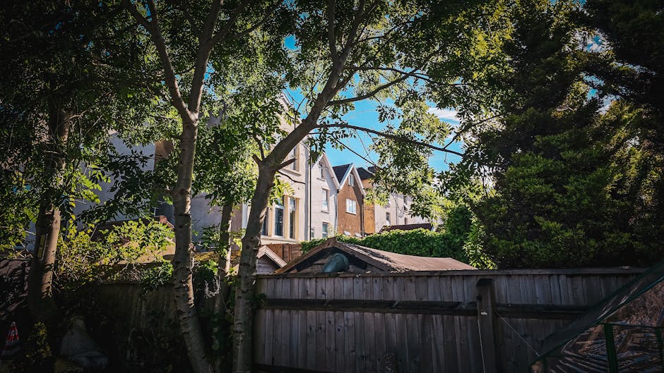 A backyard scene featuring a weathered wooden fence in the foreground with visible horizontal planks and a slightly tilted top rail. Behind the fence, there are several mature trees with rough, textured bark and abundant green foliage, casting dappled shade over the area. In the background, multi-storey residential buildings with light-colored brick and stucco exteriors, including sash windows and gabled roofs, are partially visible through the trees. The sky is clear and blue, indicating a sunny day. The scene appears to be part of a private property, possibly undergoing a cleanup or garden clearance, consistent with services offered by Waste Collection Kennington for local rubbish removal or on-site waste disposal. The overall atmosphere is calm, with natural light filtering through the leaves, highlighting the textures of the outdoor environment.